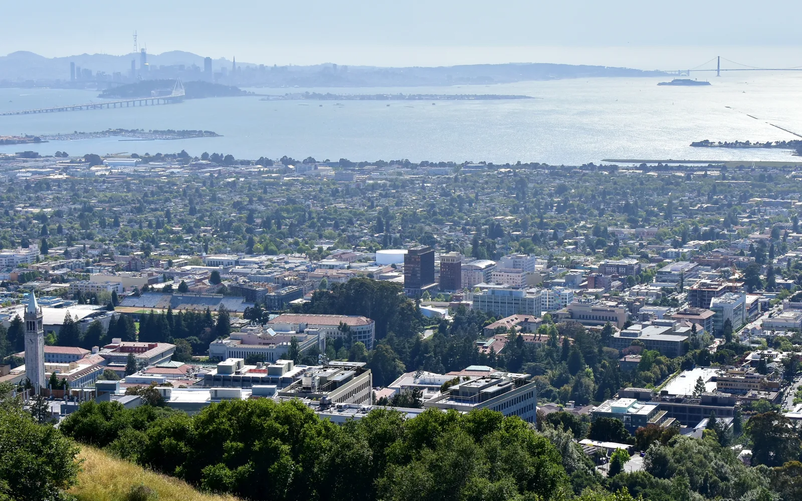 Berkeley — Berkeley cityscape