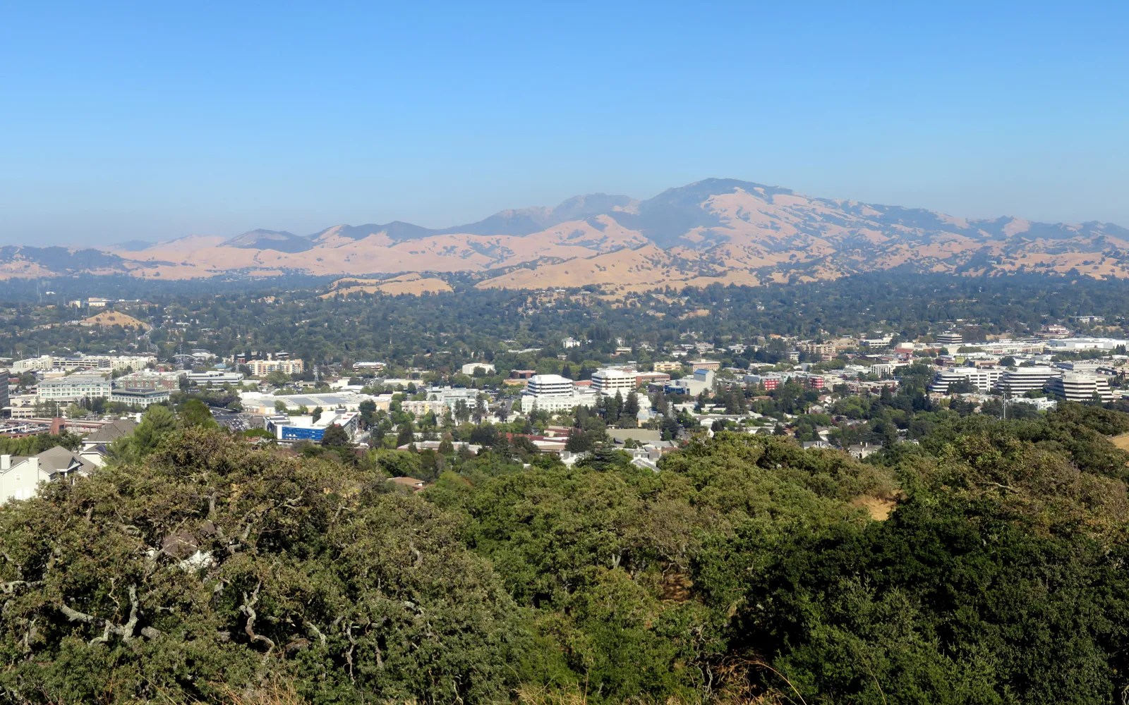 Walnut Creek — Walnut Creek panorama from hill, August 2018